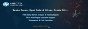 Learn how to trade online gold,  currencies,  crude oil   and others !  